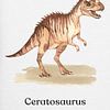 Ceratosaurus von Gal Design