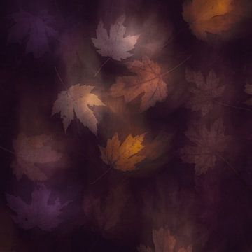 Bladeren in herfstkleur van Dirk-Jan Steehouwer
