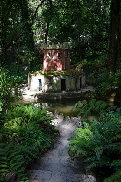 Castle on the water, among the ferns by Merel Pape Photography