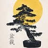 Bonsai no. 01 by Apolo Prints