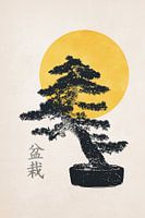 Bonsai no. 01