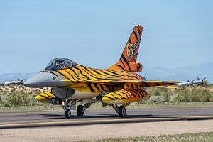 Ein General Dynamics F-16 Fighting Falcon der belgischen Luftwaffe in einer prächtigen Tigerjacke, v