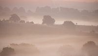 mist