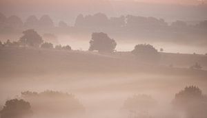 mist van hanny bosveld