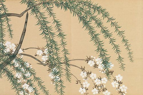 Weide und Kirsche (Yanagizakura), Kamisaka Sekka