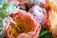 Peonies by Ton Tolboom thumbnail