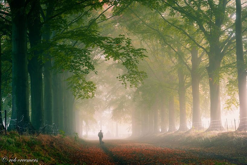 Alleen by rob creemers