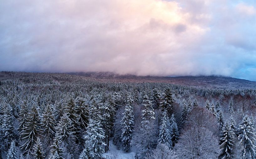 Winter im Bayrischen Wald von Dirk Rüter