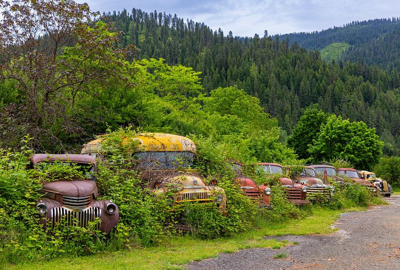 Verrostete alte Lastwagen irgendwo in Idaho, Vereinigte Staaten von Adelheid Smitt