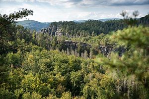 Großer Teichstein, Sächsische Schweiz - E-Flügel-Wand und Wald