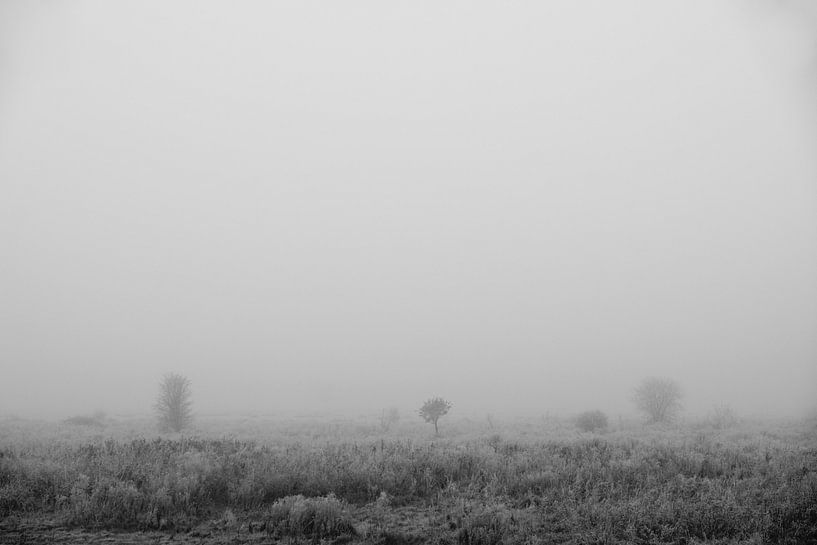 Markiezaatsmeer - Mist van Maurice Weststrate