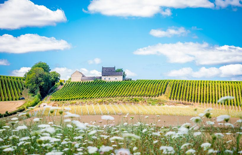 Beautiful Limburg by Mariska Rademaker