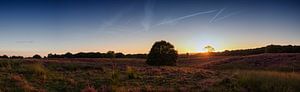 Mookerheide (panorama) van Lex Schulte