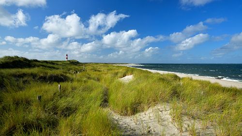 Schitterend panorama op Sylt met vuurtoren