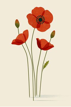 Coquelicots - une illustration botanique et minimaliste sur Eduard Broekhuijsen