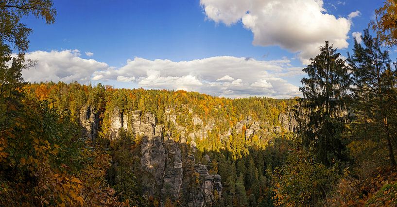 Herbstwald in der Sächsischen Schweiz von Frank Herrmann