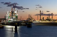 Industrie Rotterdam Botlek van Havenfotos.nl(Reginald van Ravesteijn) thumbnail