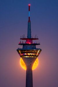 Rheinturm im Mondlicht