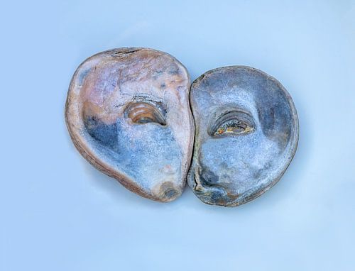 Twee oesters en profil & au naturel