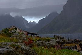 LOFOTEN 1 by Miroslav Ptacek