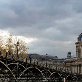 Historisch gebouw in Parijs van Alexander Bogorodskiy
