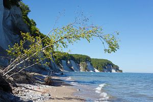 Kreideküste, Strand , Nationalpark Jasmund, Sassnitz, Insel R�gen, Mecklenburg-Vorpommern, Deutschla