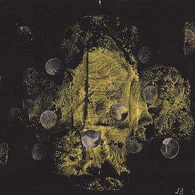 Metaliseren by Johan Briers