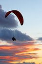 Paraglider by sunset von Yvonne Steenbergen Miniaturansicht