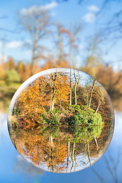 Glazen bol weerspiegeld bos in herfst seizoen van Ben Schonewille