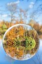 Glazen bol weerspiegeld bos in herfst seizoen van Ben Schonewille thumbnail