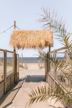 To the beach! (SERIE Strand van Noordwijk) | Netherlands by Marika Huisman fotografie