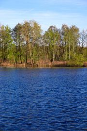 Am See von Thomas Jäger