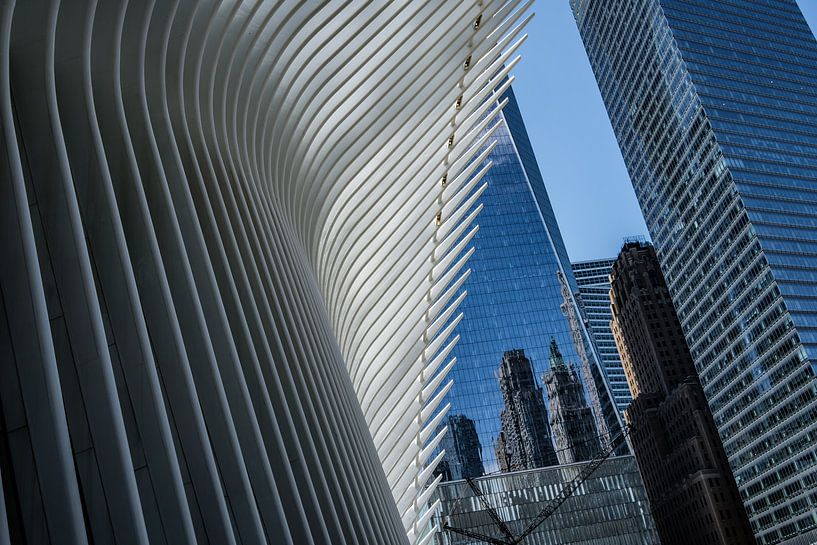 Lower Manhattan by Eddy Westdijk
