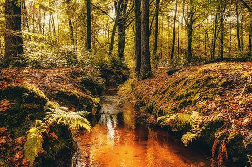 Autumnmood | Hof Espelo (4)