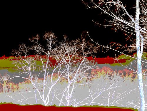 2017 art 5 ardennen couliesenlandschap