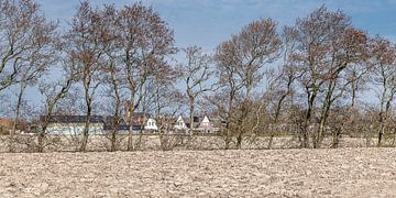 Fries lente landschap met het dorp Wierum op de achtergrond.