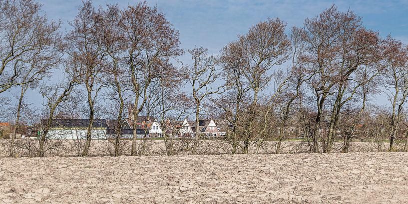 Paysage de printemps frison avec le village de Wierum en arrière-plan. par Harrie Muis
