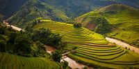 The breathtaking rice fields of Mu Cang Chai, Vietnam by Antwan Janssen thumbnail