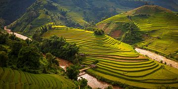 The breathtaking rice fields of Mu Cang Chai, Vietnam by Antwan Janssen