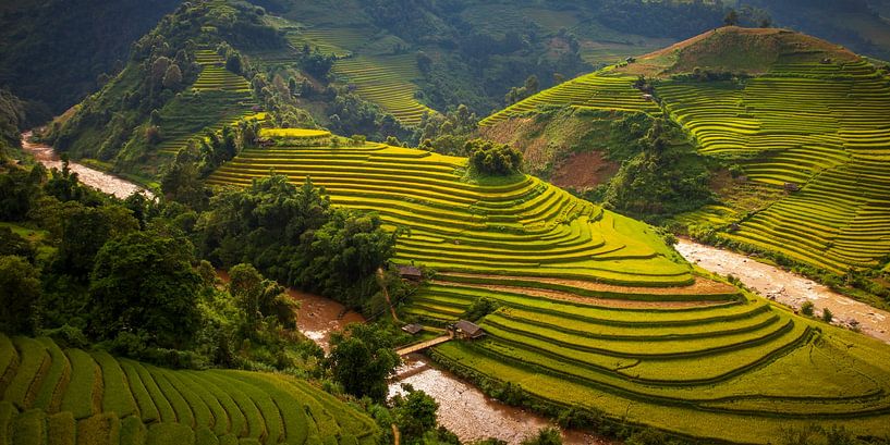 The breathtaking rice fields of Mu Cang Chai, Vietnam by Antwan Janssen