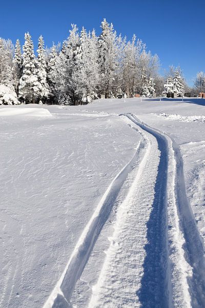 A snowmobile trail in a field by Claude Laprise