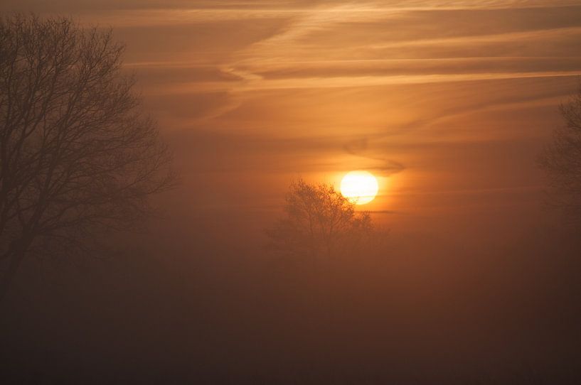 Zonsopkomst in de natuur von Roel Van Cauwenberghe