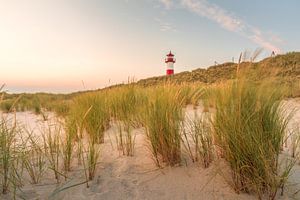 Dünenlandschaft am Leuchtturm List-Ost auf Sylt