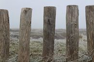 Paaltjes in Texelse duinen van Kevin Ruhe thumbnail