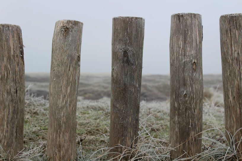 Paaltjes in Texelse duinen van Kevin Ruhe