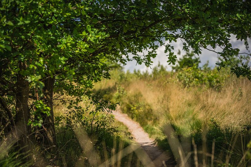 Lage Brug von Vincent van den Hurk