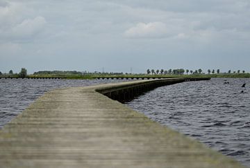 decking in the Groningen landscape