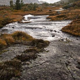 Norwegens herbstliche Flusslandschaft von Linda Mannsperger