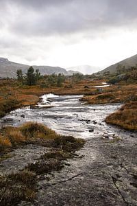 Herfstig rivierenlandschap in Noorwegen van Linda Mannsperger