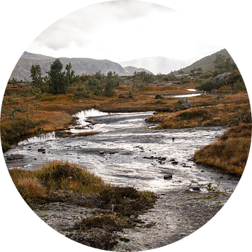 Herfstig rivierenlandschap in Noorwegen van Linda Mannsperger